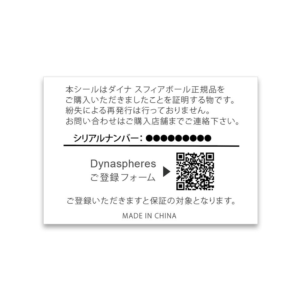  ダイナ スフィア ボールセット Dyna|spheres (的球15個+手球2個） ダイナボール